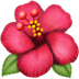 :hibiscus: :hibiscus:
