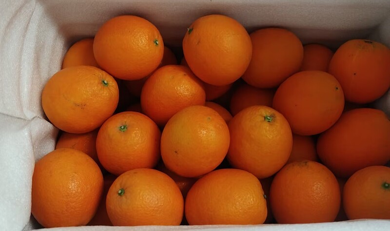 6e84d1f2fedd18fdd0587a0df5d62a24_compress